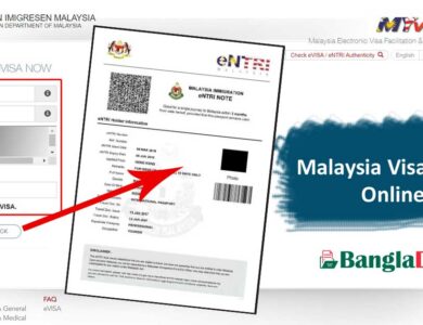 Malaysia Visa Check on MyIMMs